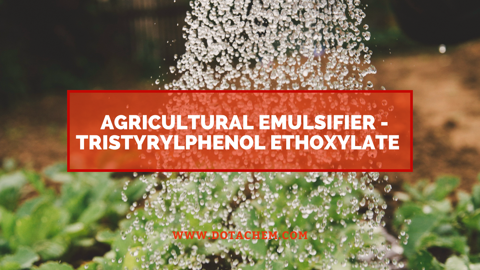 'n Nuwe keuse vir landbou-emulgator - Dotachem se Tristyrylphenol Ethoxylate word professioneel verskaf!