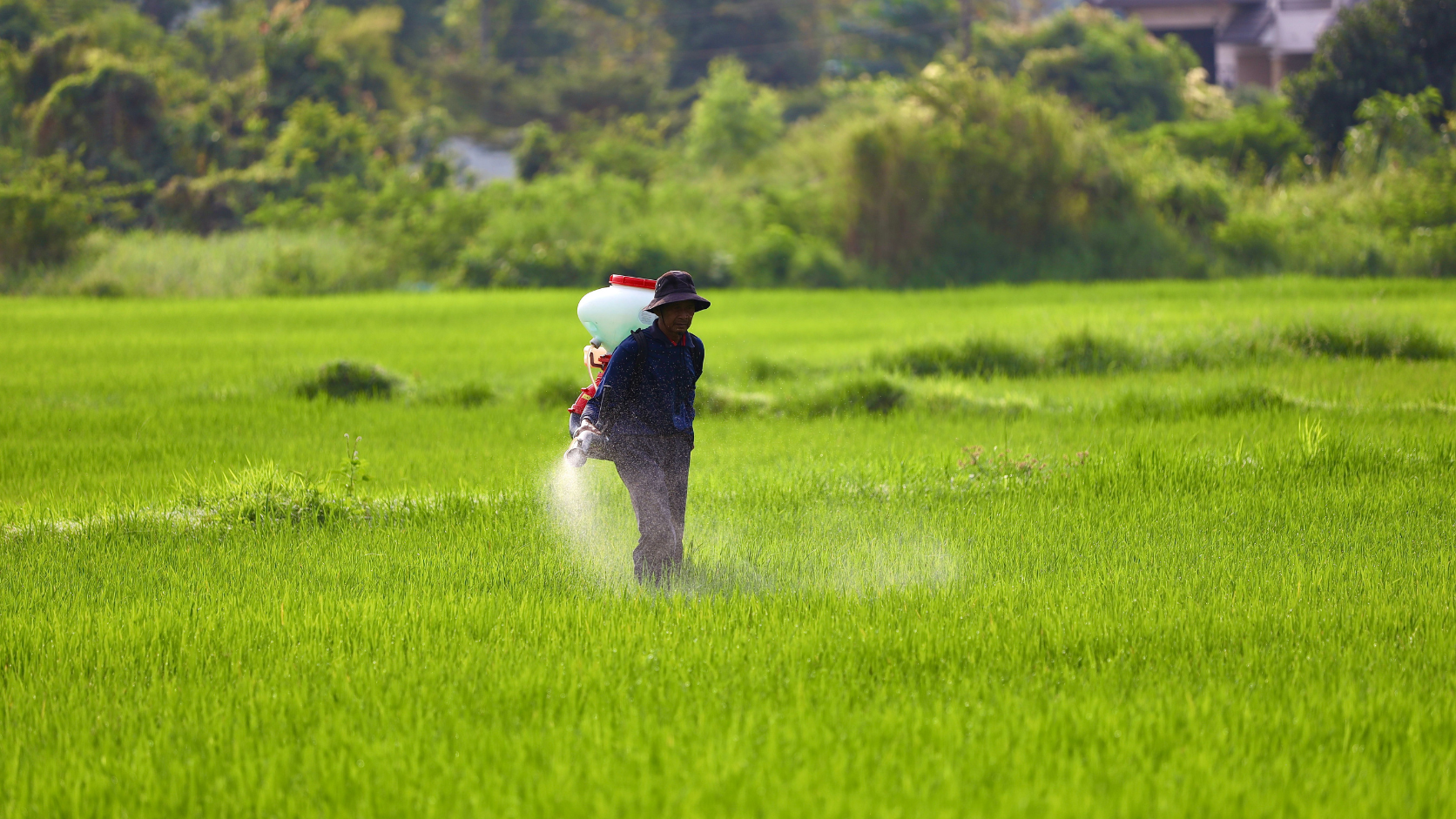 Waarvoor word monoetanolamien in landbouchemikalieë gebruik?